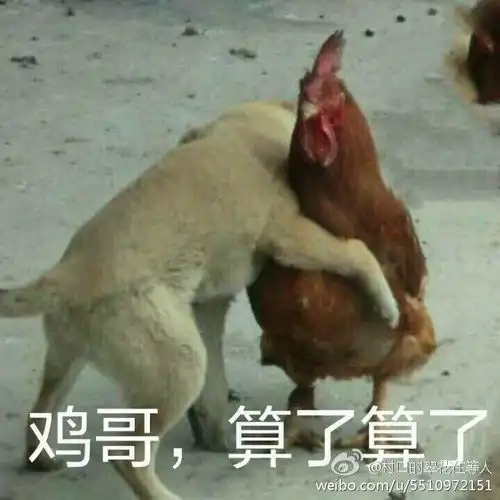 爆笑表情包大全鸡年