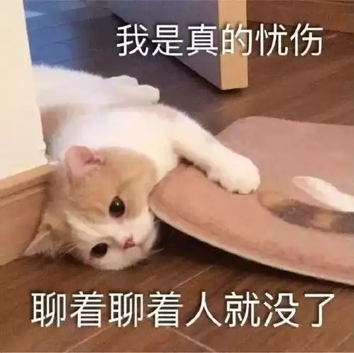 好玩的表情包都在这里