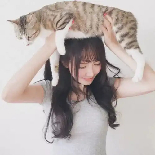 猫咪头像男生代表什么主