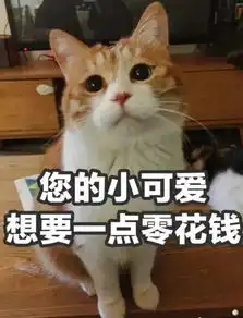 为什么很多人聊天都喜欢用猫咪表情包附最全猫咪表情包