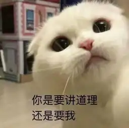 华为nova和荣耀内斗性价比40w快充新机曝光