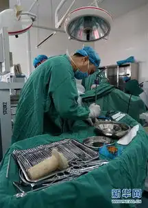 女儿国里的男丁格尔