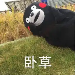 这个叫什么,表情包在哪里有