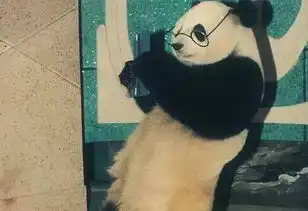 传奇大熊猫巴斯去世