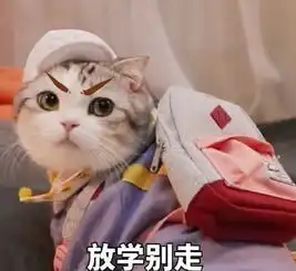 为什么有人说喜欢发猫表情包的男生是渣男