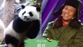 大熊猫的土味情话