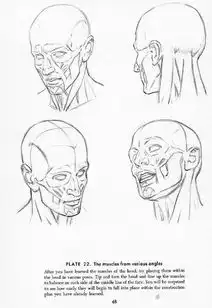 超级实用的速写头像绘画教程