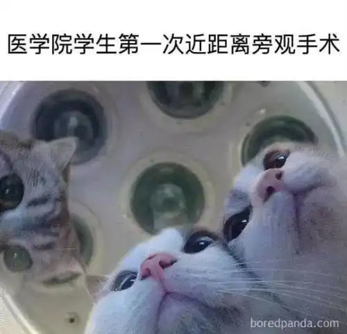 同学,医学生专用表情包了解一下