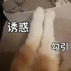 皮的你捧腹大笑的表情包集合,不进来收藏一下,都对不起你自己