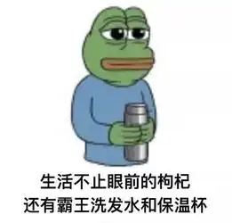 与其在保温杯里加枸杞,不如喝点汤