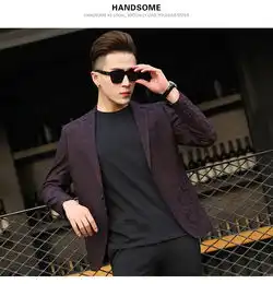 博纳罗蒂春款新品男式西服花纹男士休闲西装外套单排一粒扣小西装69952