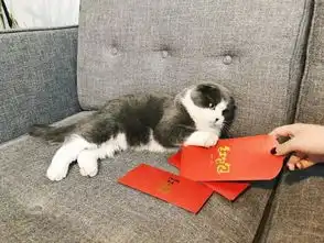 本月你不买绝对会后悔的4样东西