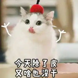 双十一大礼包单身狗之歌