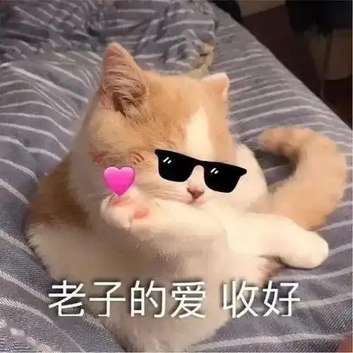 明天周六,你还要上班丨第308期喵表情包