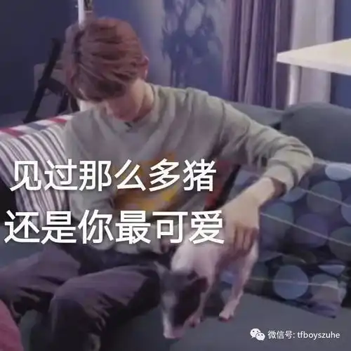 王源新系列表情包,你存图了吗