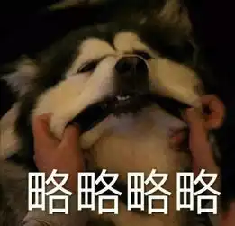 老公略略略