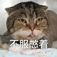 不服憋着暴走表情包微信头像图片大全