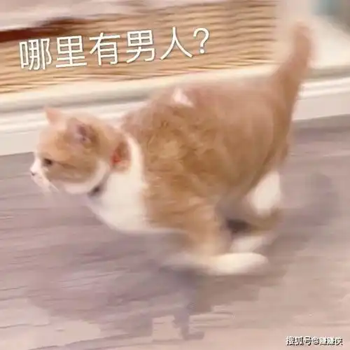 热门表情包图片管你开心还是不开心我默默吃瓜
