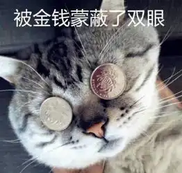 给钱猫咪的表情包