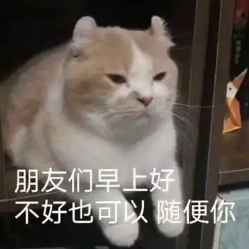 不可描述