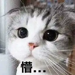 再上12天班,潍坊人集体放假还有这个消息更刺激.....