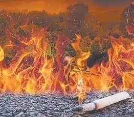 南昌一男子高空抛掷共享单车致人死亡,法院判了消防也有话要说...