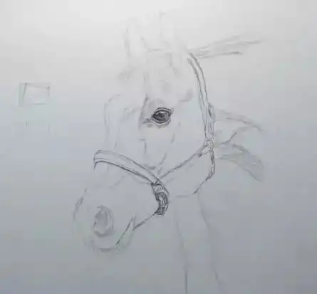 大触动物头像素描教程,英姿飒爽的骏马