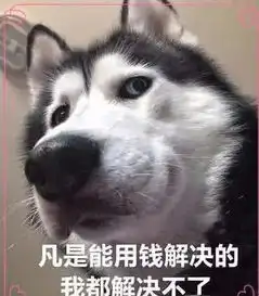 表情包可爱的女孩子狗狗