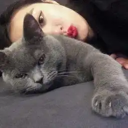 爱猫女生头像思密达