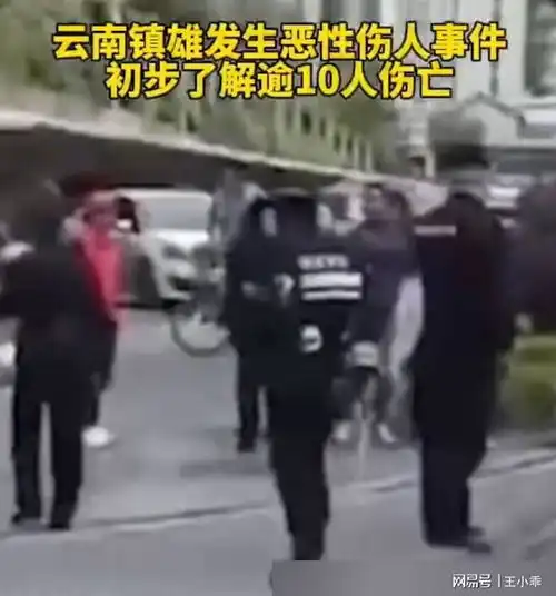 闹大了云南镇雄持刀伤人事件,2死21伤,凶手被抓,疑似有冤情遇害医生云南省镇雄县网易订阅