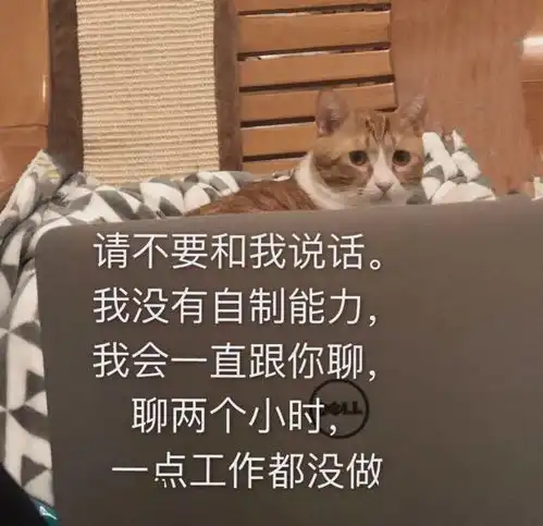 沙雕表情包我看你就是玩不起