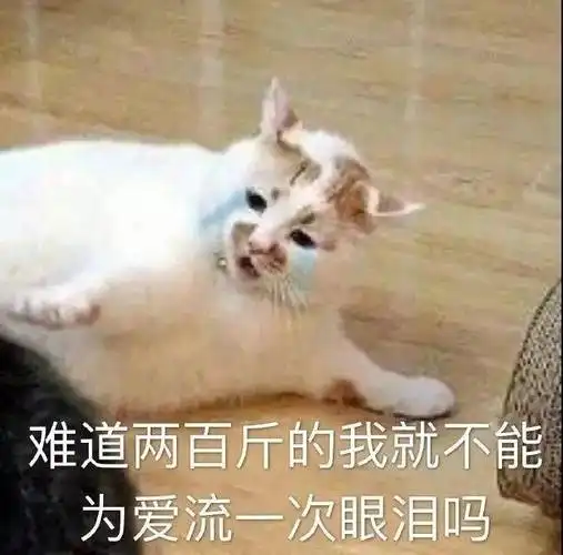 插足王志飞婚姻,被前夫内涵恶心40岁张歆艺凭什么能被帅哥袁弘捧在手心
