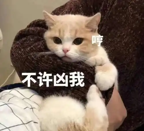 e句话看天下丨明星集体辟谣,谁才是3000万顶流