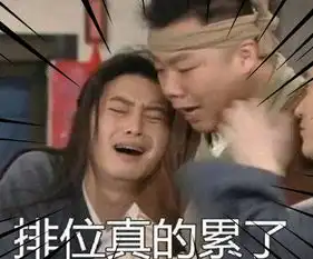 王者荣耀玩家用武林外传人物表情做的表情包看看适合你吗