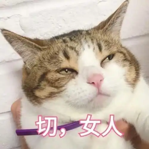 猛虎落地式下跪表情包套