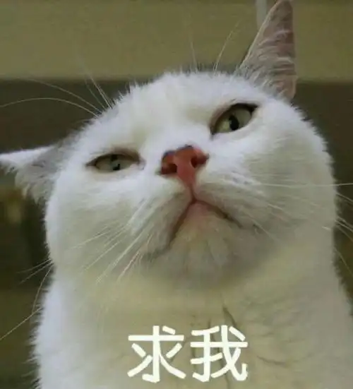 我的爱情来了