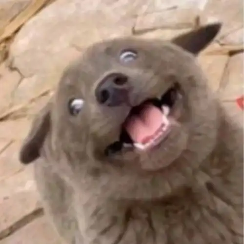 为什么还会有人说小枫自私啊