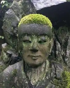 搞笑gif兄弟你得罪白衣天使以后别想混了