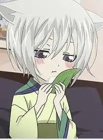 一个有关于狐狸变的男的的动漫叫什么