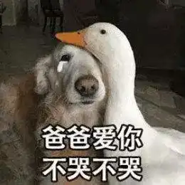 表情包行业竞争太激烈了什么鸡鸭鹅都来了