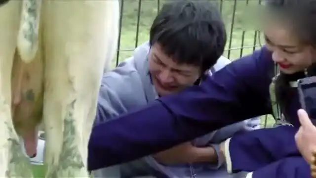 周深挤牛奶历险记,这表情太痛苦了,才哥蔡蔡在线记录