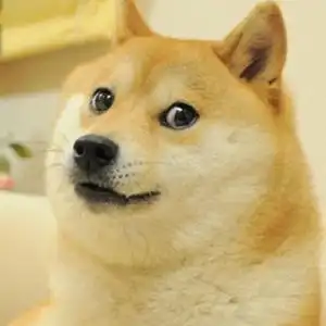 很突然你常用的这个表情包原型,去世了