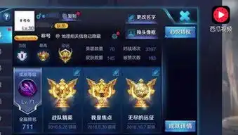 王者荣耀玩家花8800块钱买全皮肤账号,登录游戏后却彻底崩溃了