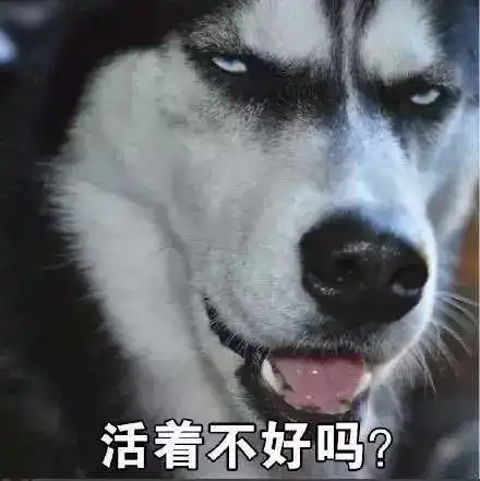 笑话段子老爹每次对外人介绍我的时候,都用的是谦词,就是犬子