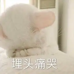 收藏表情包埋头