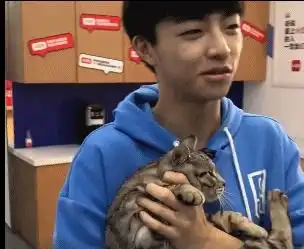 撸猫少年陈立农易烊千玺,网友放开猫冲我来
