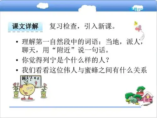 30蜜蜂引路课件