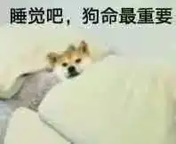 表情包丨你怎么能这样对我
