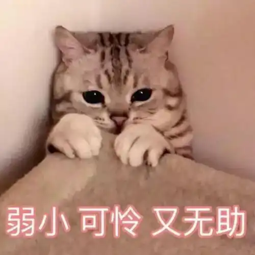 有人拉我爸妈搞传销,我该怎么办社长陪聊