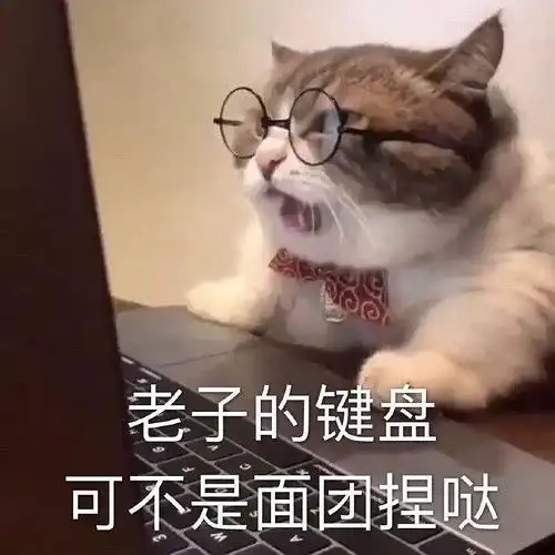 我的收藏